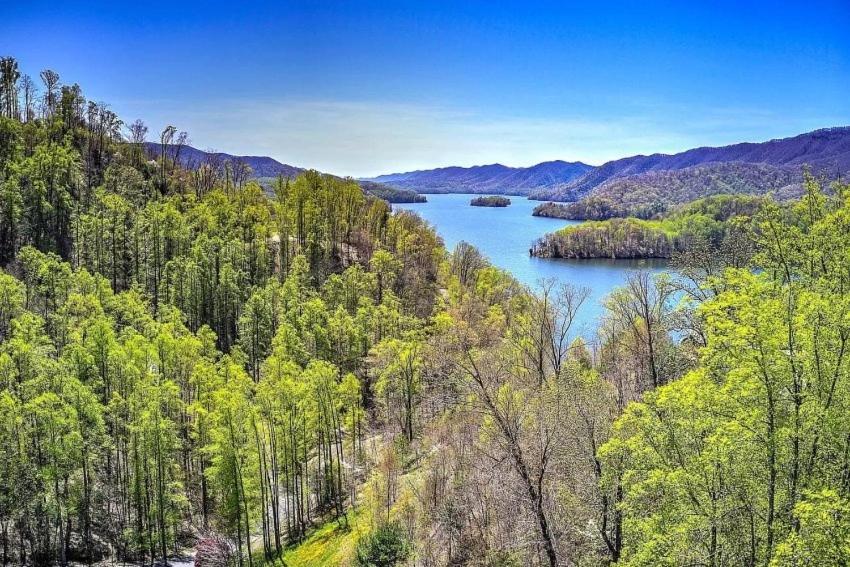 Iron Mountain Lodge - Beautiful Cabin With Forest & Mountain Views! Butler Esterno foto