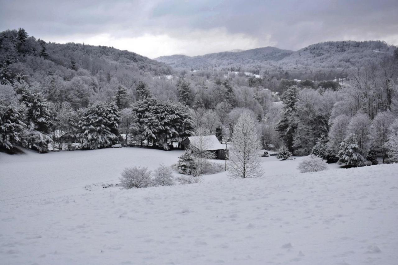 Iron Mountain Lodge - Beautiful Cabin With Forest & Mountain Views! Butler Esterno foto